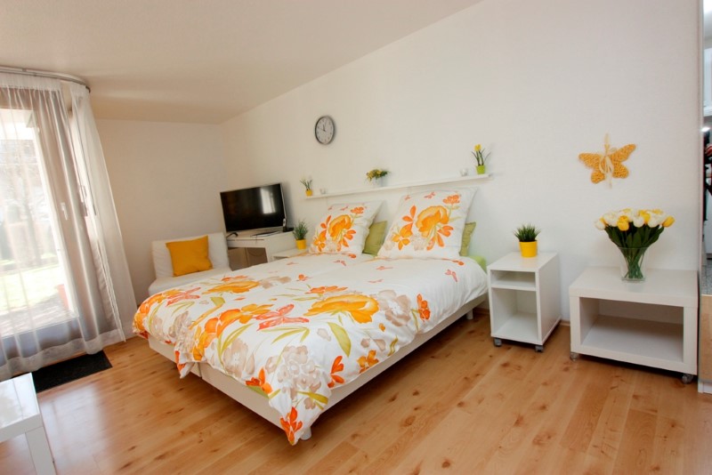 1 Zi-FeWo Schlippehof (IV)